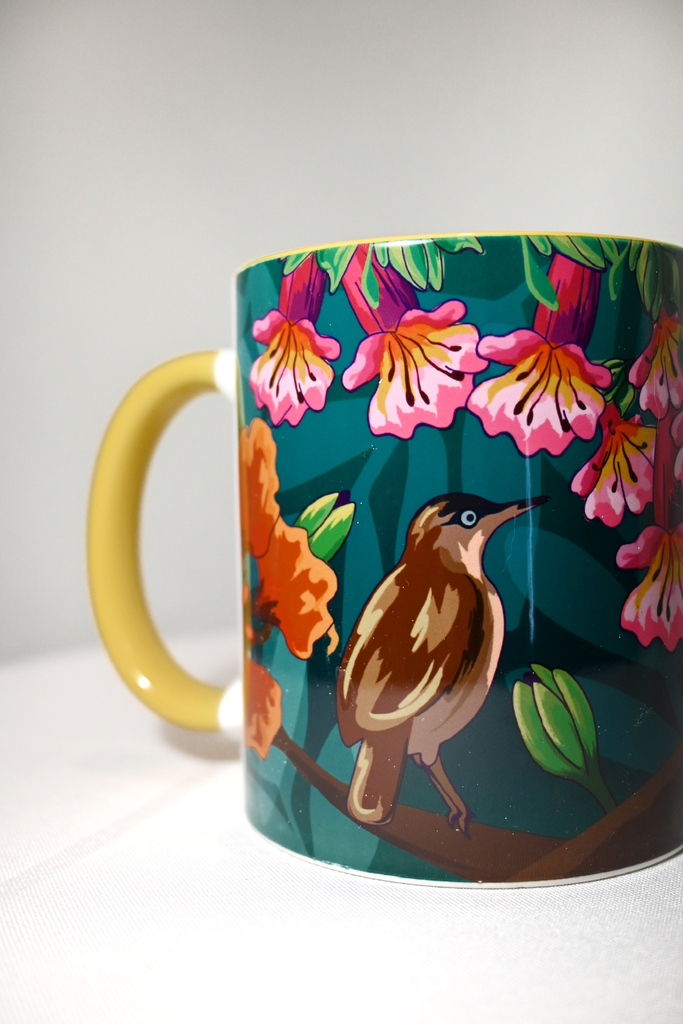 TAZA